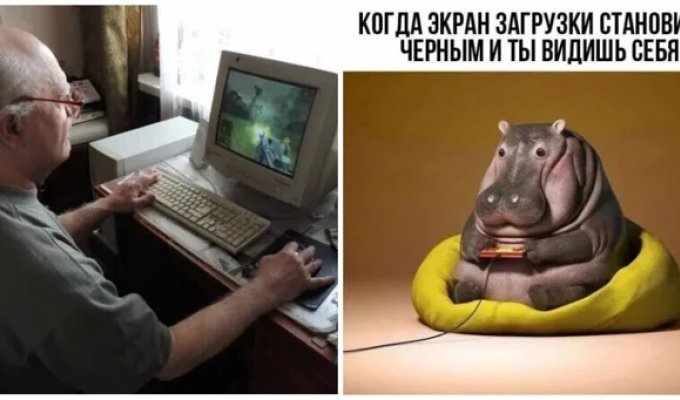 Мозг мужчин стареет быстрее женского: норвежские ученые выяснили, как этого можно избежать (5 фото)