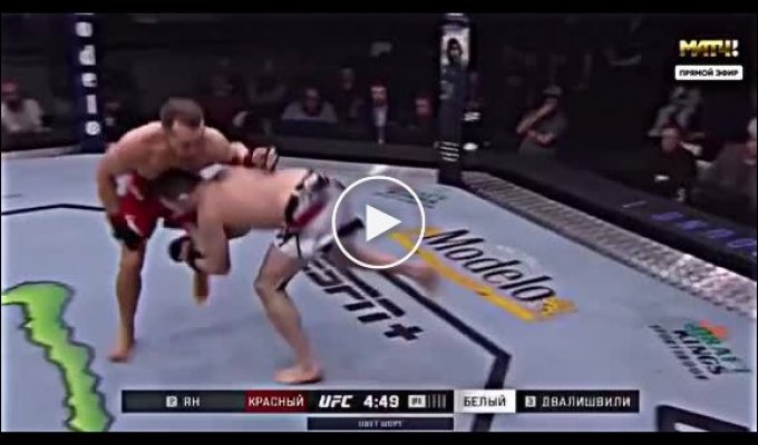Грузин Двалишвили уничтожил россиянина в бою UFC и призвал остановить войну