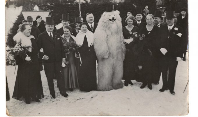 Вы и не догадывались о роли белых медведей в истории Германии (15 фото)