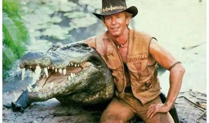 90-year-old crocodile Bert, star of the film "Crocodile Dundee", has died (3 photos)