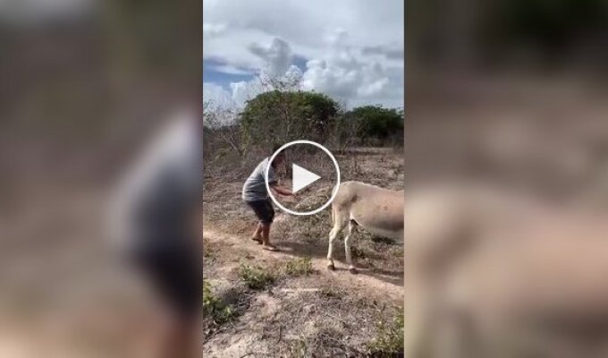 Странные видео (короткие видео). Выпуск 42
