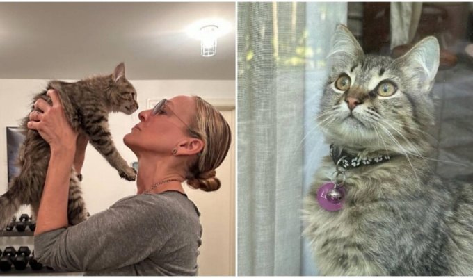 Сара Джессика Паркер приютила котика-актёра, с которым снималась в сериале (4 фото)