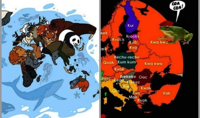 14 interesting graphs that will tell you something new about the world (15 photos)