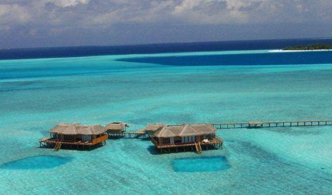 Мальдивы (14 фото)