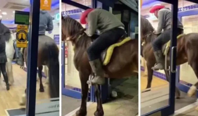 Men went into a store with their horses (2 photos + 1 video)