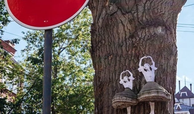 A selection of harmless and creative vandalism (15 photos)