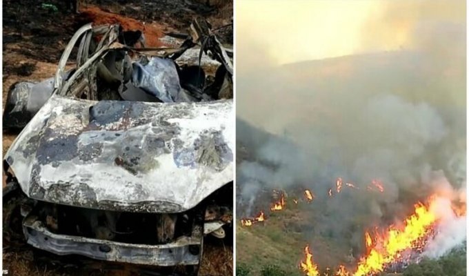 Пенсионер из Бразилии спалил 673 гектара леса, решив сжечь свой автомобиль (10 фото)