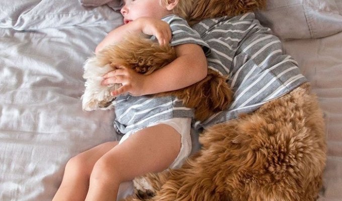 Милая дружба приёмного ребёнка и его собаки по кличке Рейган (12 фото)