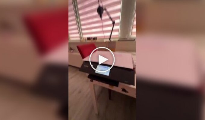 Когда принтер довел польку: в ход пошла вся мощь польской брани