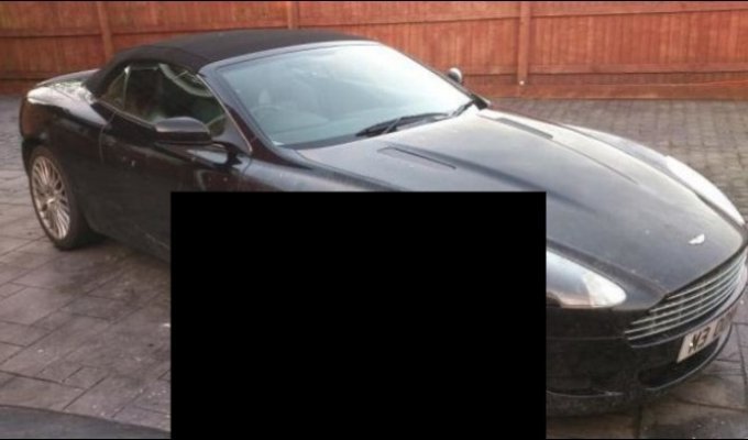 Собака погрызла дорогостоящий Aston Martin (5 фото)