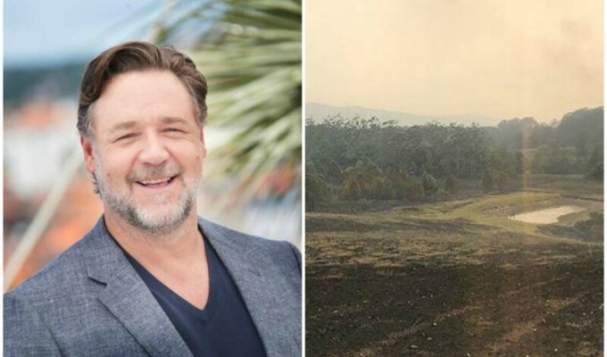 Рассел Кроу показал свою ферму в Австралии до и после дождей (13 фото)