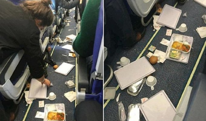 Из-за турбулентности пассажиры парижского рейса остались без обеда (5 фото)