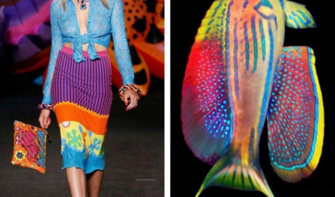 How nature inspires fashion designers to create outfits (19 photos)