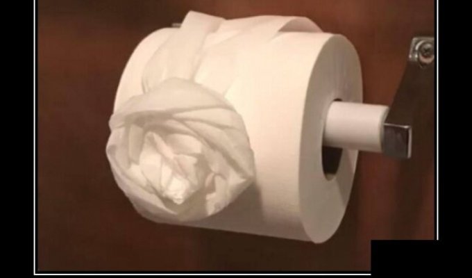 Образ туалетной бумаги в демотиваторах (18 фото)