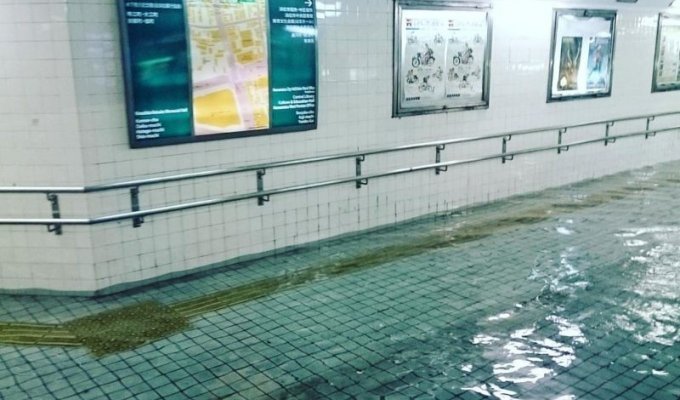 Плавательный бассейн в метро Японии (4 фото)