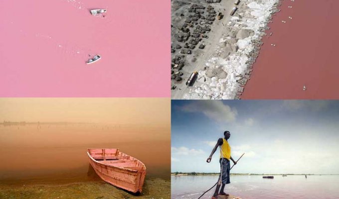 Розовое озеро в Сенегале (14 фото)