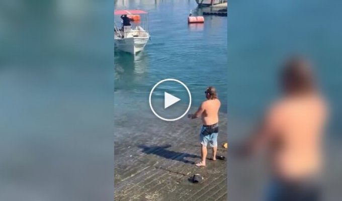 In Mexico, a drunk tourist tried to fight a sea lion