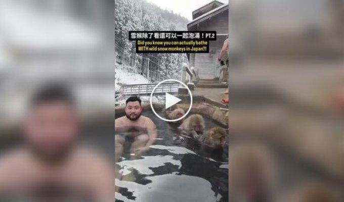 Чоловік викупався поряд з японськими макаками