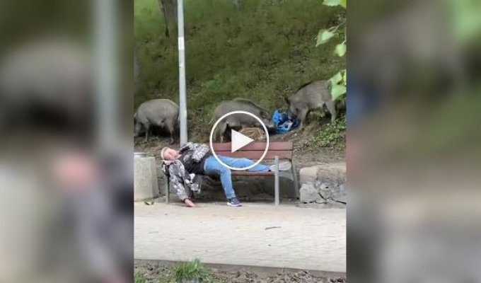 Единение с природой в Польше