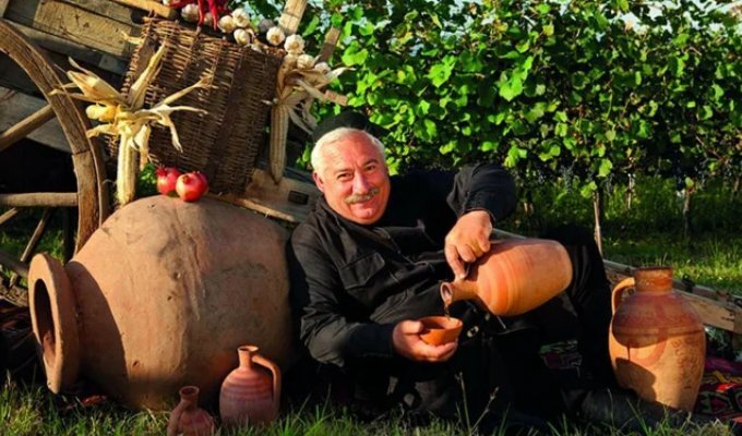 9 основных сортов грузинских вин (10 фото)