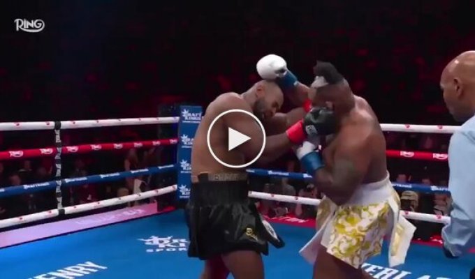 Американский боксер лишился парика во время боя