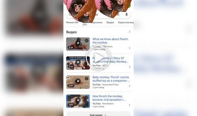 Google запустила специальную анимацию в поиске в честь обезьянки Панча