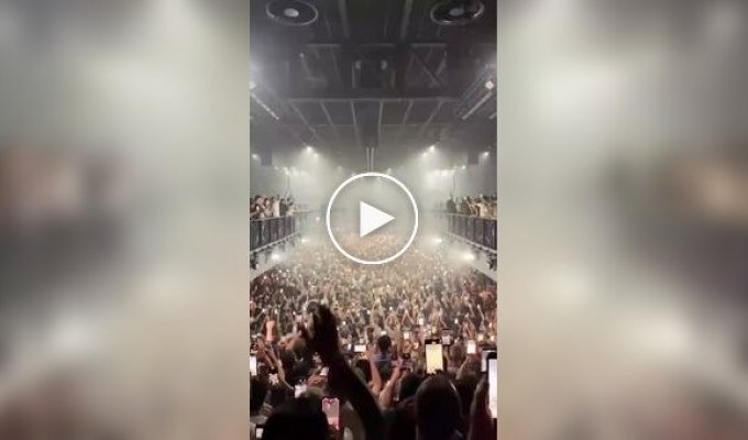 It's official: raves have finally been killed by smartphones.