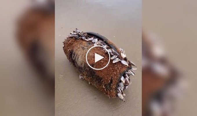 Колонка несколько месяцев находилась в воде и до сих пор работает