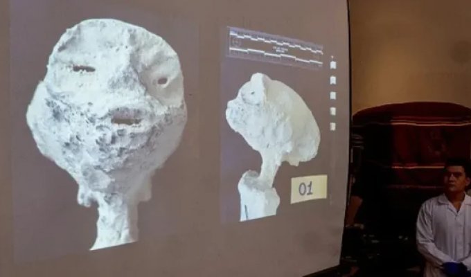 An alloy for communication in space was found inside the mysterious "alien mummies" (3 photos + 1 video)