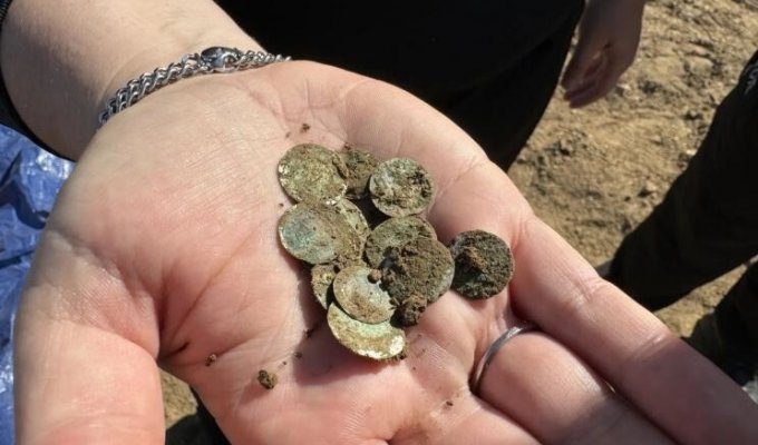 “Can be compared to a jackpot”: a woman found a pot of ancient coins (6 photos)