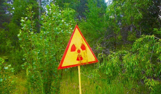 Мой первый нелегальный Чернобыль (24 фото)