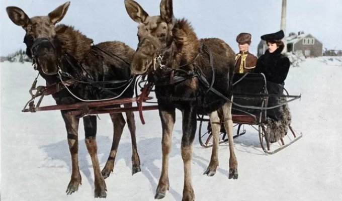 Подборка фотографий из прошлого, которые заставляют удивиться (21 фото)