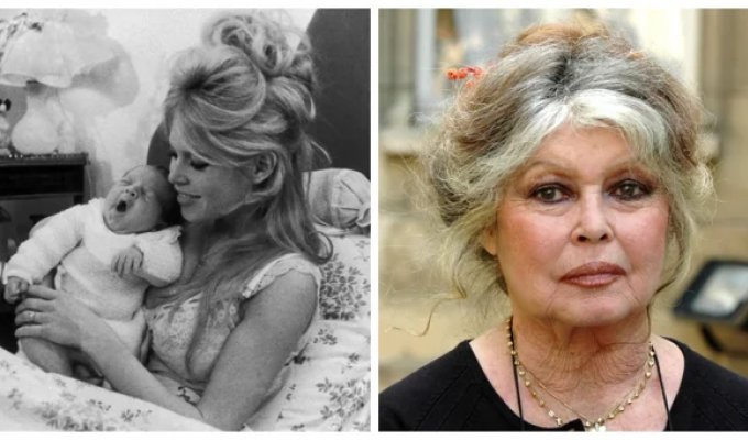 «Она любила  меха, а я — свою семью»: как первая красавица Франции  променяла нежеланное дитя на свободу (14 фото)
