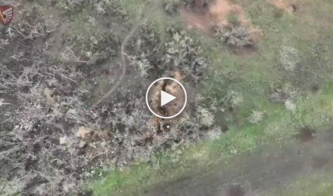 Mikolayovsk paratroopers effectively destroy the enemy with assault drones