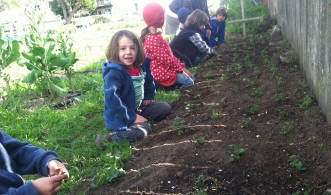 Школа в Сан-Франциско, где детей учат выращивать себе еду (11 фото)