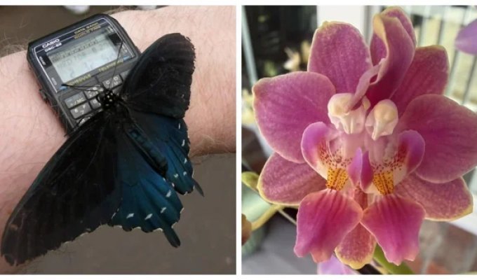 25 Signs That Even the Most Ordinary Day Is Beautiful and Wonderful (26 photos)