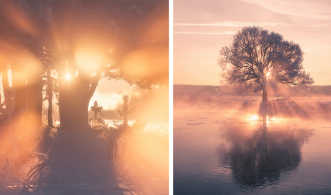Белорусский фотограф встаёт рано на рассвете, чтобы запечатлеть красоту зимы (12 фото)