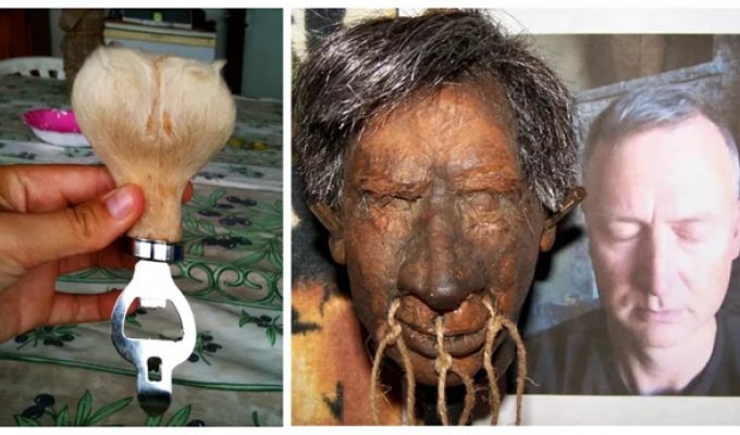 Elephant dung beer and kangaroo scrotums: 9 of the strangest souvenirs (10 photos)
