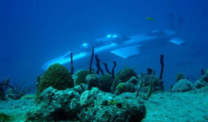 Подводная лодка Deep Flight Super Falcon (12 фотографий)