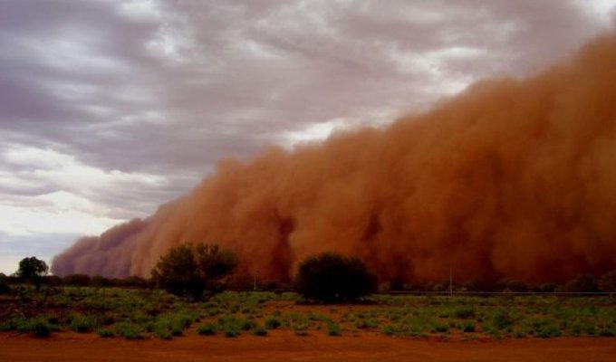 Пыльные бури в фотографиях (11 фотографий)