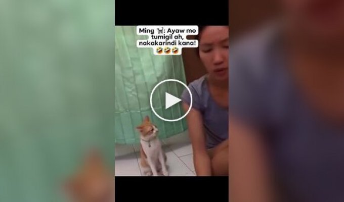 A funny cat's reaction to its owner's singing