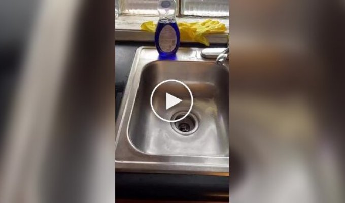 Other uses for a brush