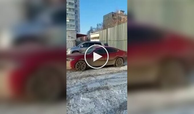 Ворона катается на лобовом стекле автомобиля