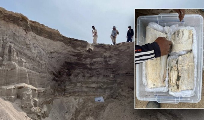 В Киргизии рабочие каменоломни нашли останки мамонта (4 фото)