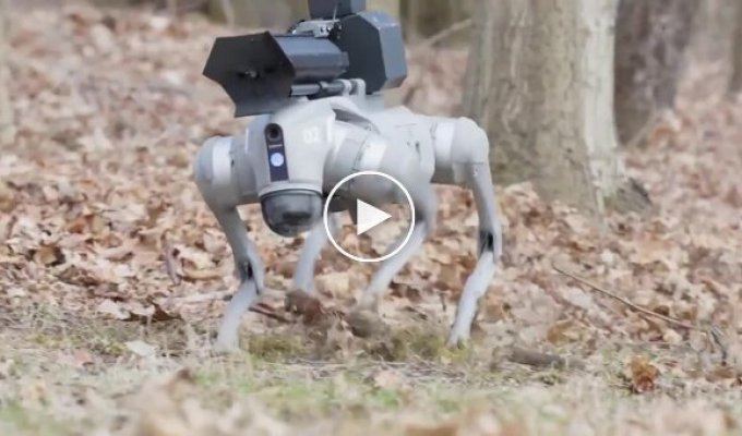Robodog with a built-in flamethrower