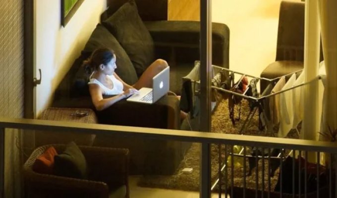 Life in plain sight: Why the Dutch don't put curtains on their windows (6 photos)