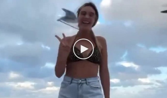 The girl became the target of an attack by a brazen seagull