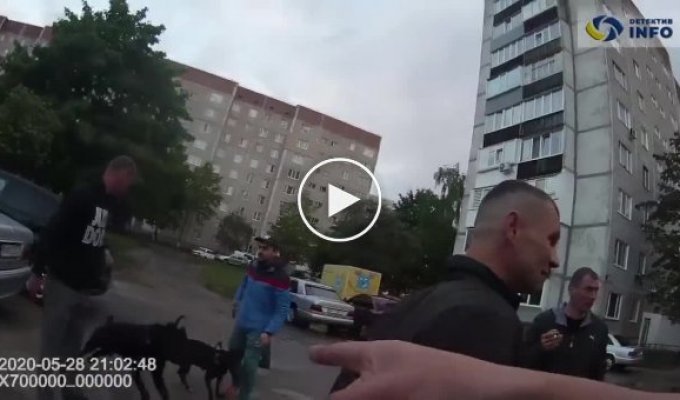 Украинским полицейским пришлось открыть огонь во время задержания пьяного водителя (мат)