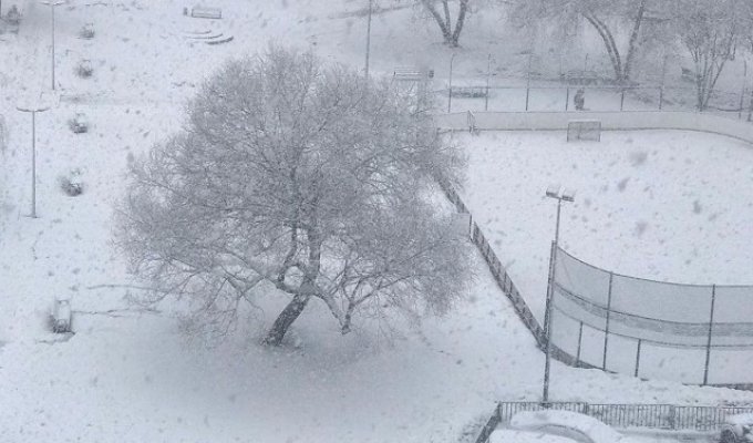 Весна отменяется: Москву накрыл снегопад (5 фото + 2 видео)