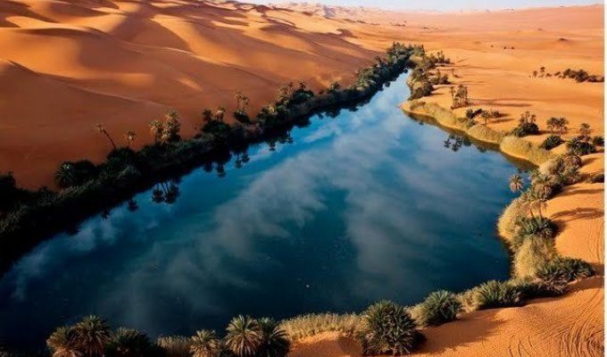 Пустыня Сахара (12 фотографий)